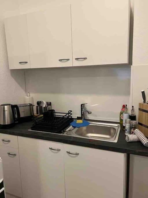 Lux Apartment Near Frankfurt! Mörfelden-Walldorf Kültér fotó